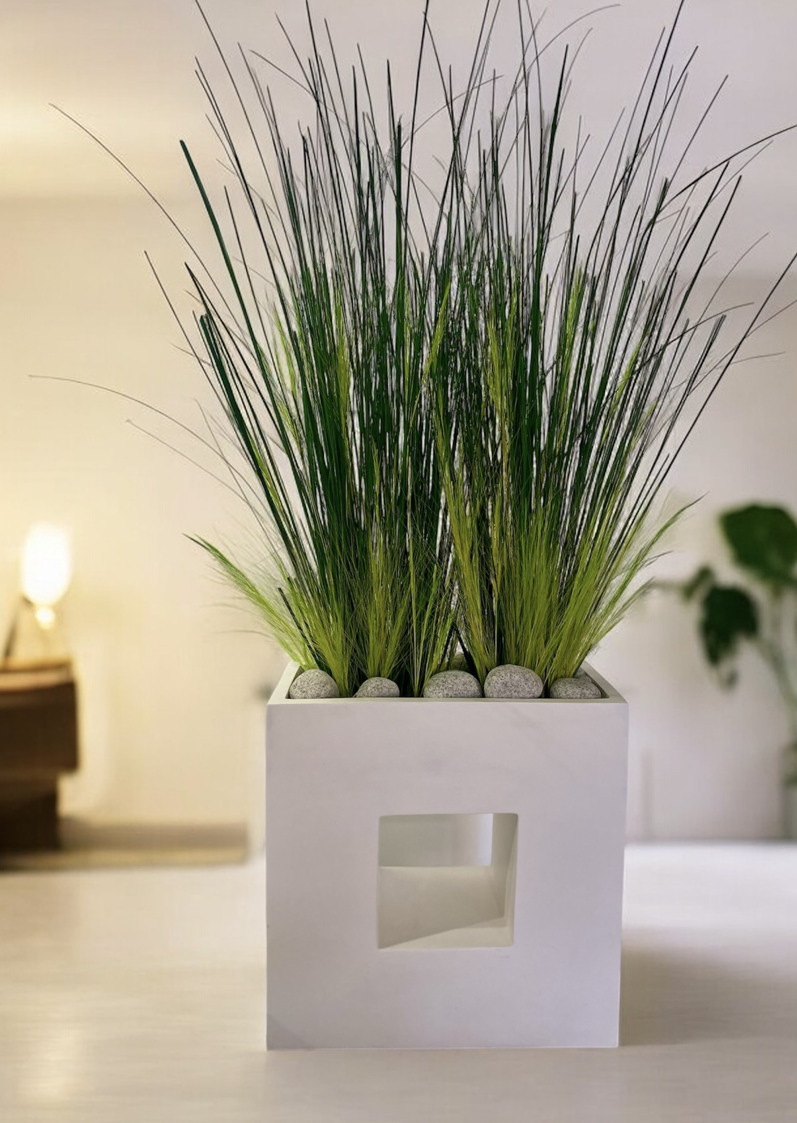 Jardin intérieur décoratif