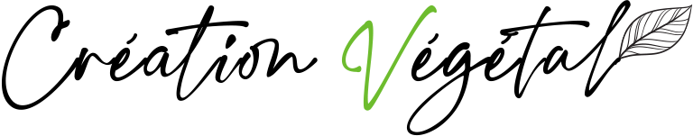 Logo Création végétal – Végétaux stabilisés & décoration